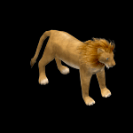 Gif animé lion attaque